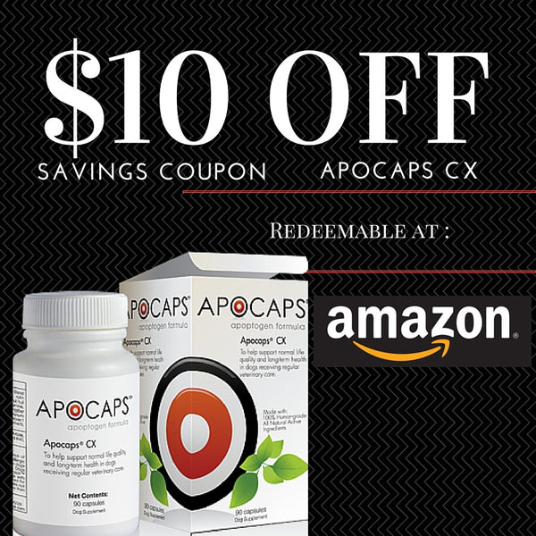 Products Dog Cancer Store