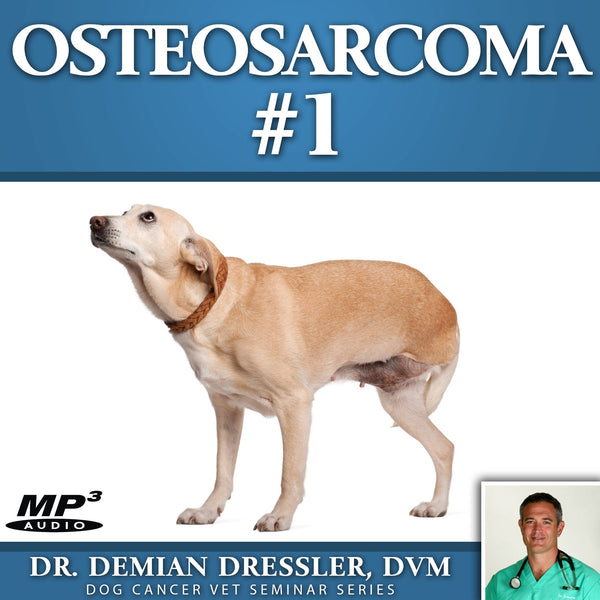 Osteosarcoma #1 [MP3]