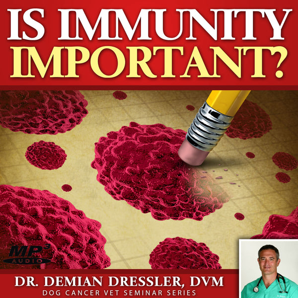 Is Immunity Important in Treating Your Dog's Cancer [MP3]