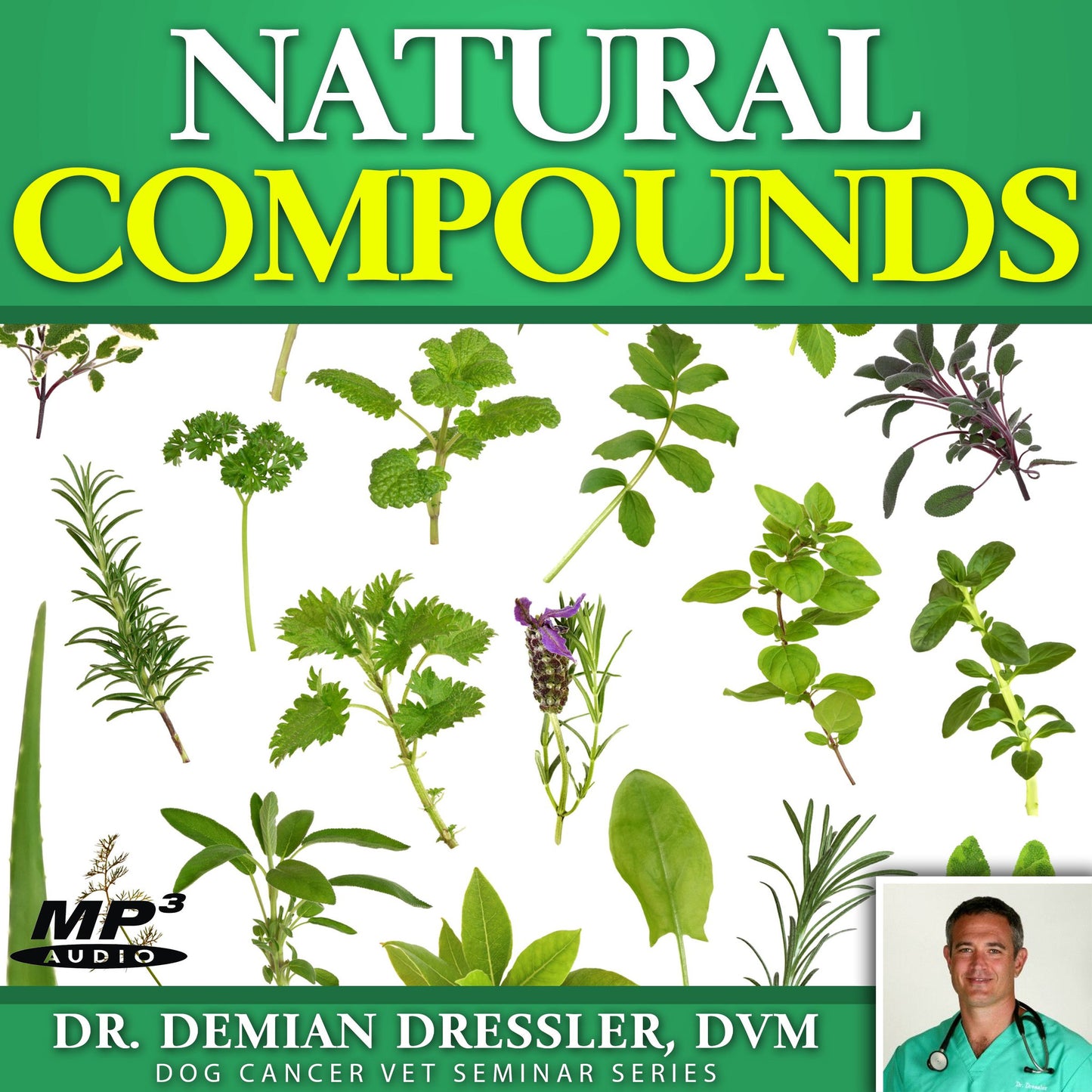 Natural Compounds in Dog Cancer Treatment [MP3]