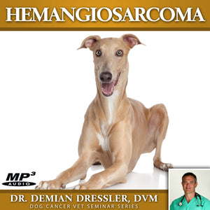 Hemangiosarcoma in Your Dog [MP3]