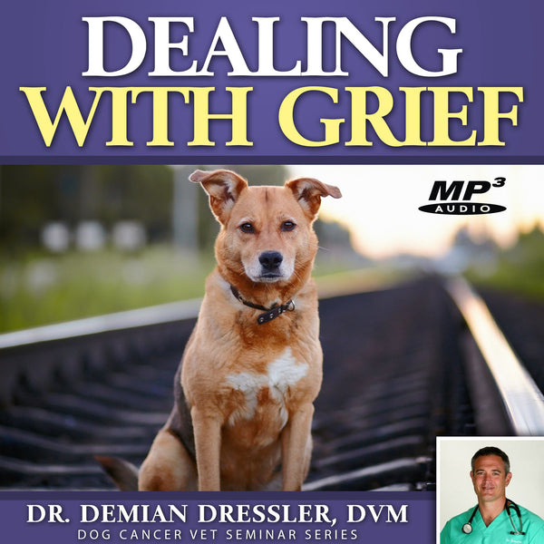Dealing with Grief [MP3]
