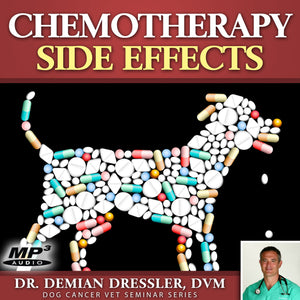 Dog Cancer Chemotherapy Side Effects [MP3]