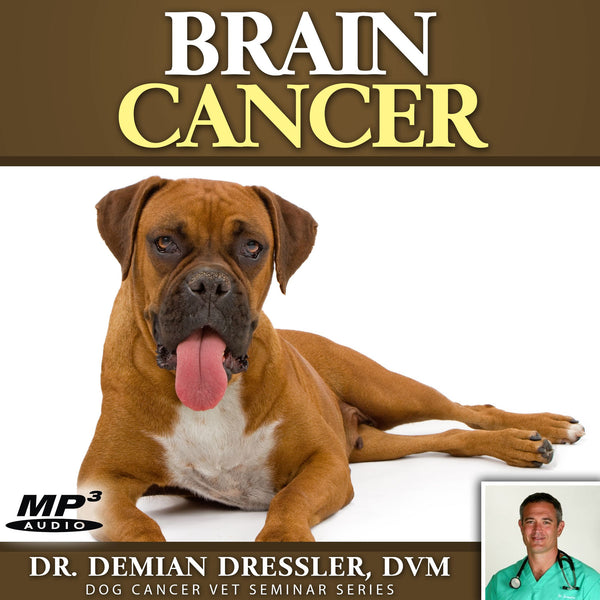 Brain Cancer in Dogs [MP3]