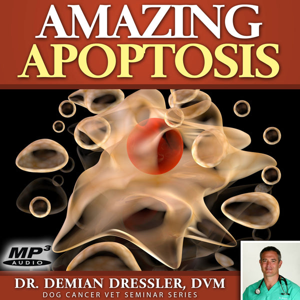 Amazing Apoptosis in Cancer Treatment [MP3]