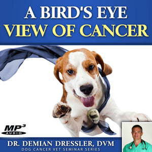 A Bird’s Eye View of Dog Cancer [MP3]