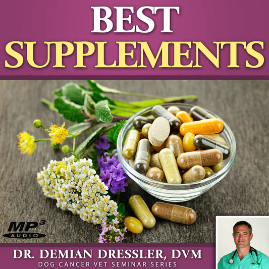 Best Supplements for Dog Cancer: The Supplement Hierarchy [MP3]