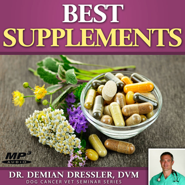 Best Supplements for Dog Cancer: The Supplement Hierarchy [MP3]