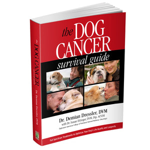 Dog Cancer Survival Guide (Paperback book)