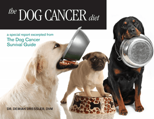 Dog Cancer Diet PDF